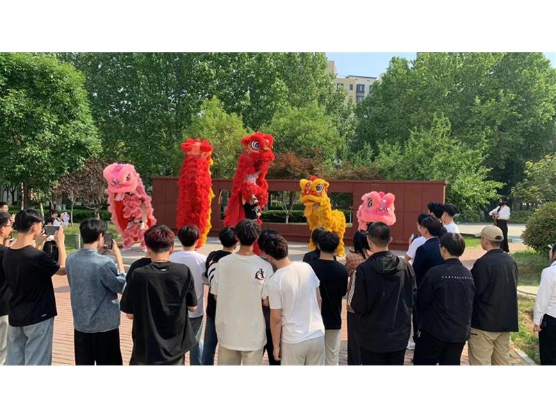 强国复兴有我￨团市委组织开展“踔厉奋发靓青春 笃行不怠向未来”主题快闪活动