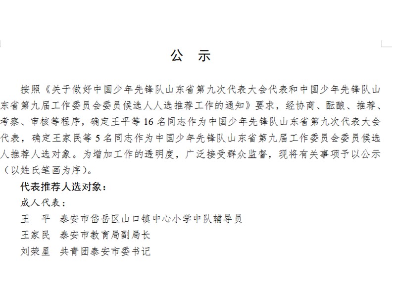 山东省第九次少代会代表人选公示