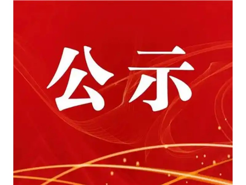 公示公告