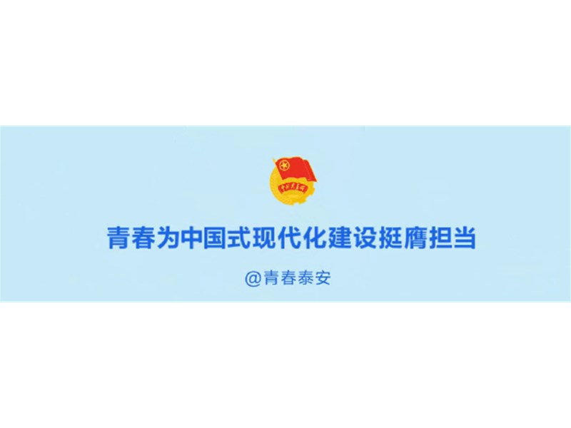 团市委召开深入贯彻中央八项规定精神学习教育总结会议