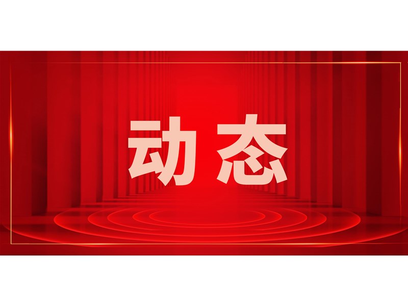 团市委召开2025年全面从严治党暨党风廉政建设工作会议