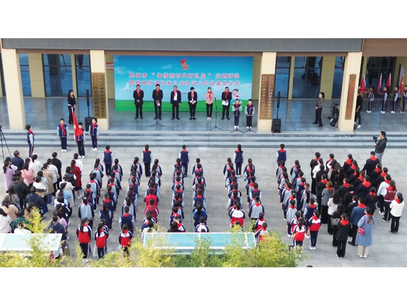 泰安共青团一周团情速递 | 社区少工委（2025年第8期）