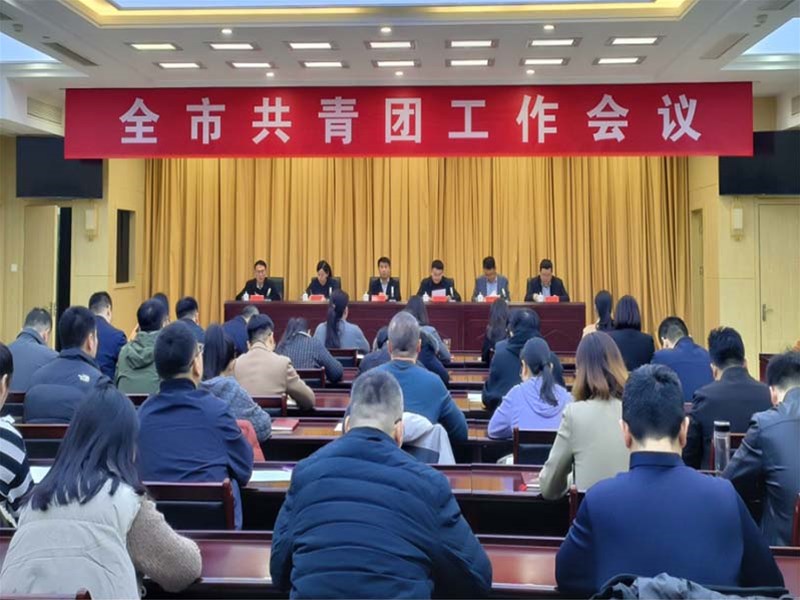 全市共青团工作会议召开